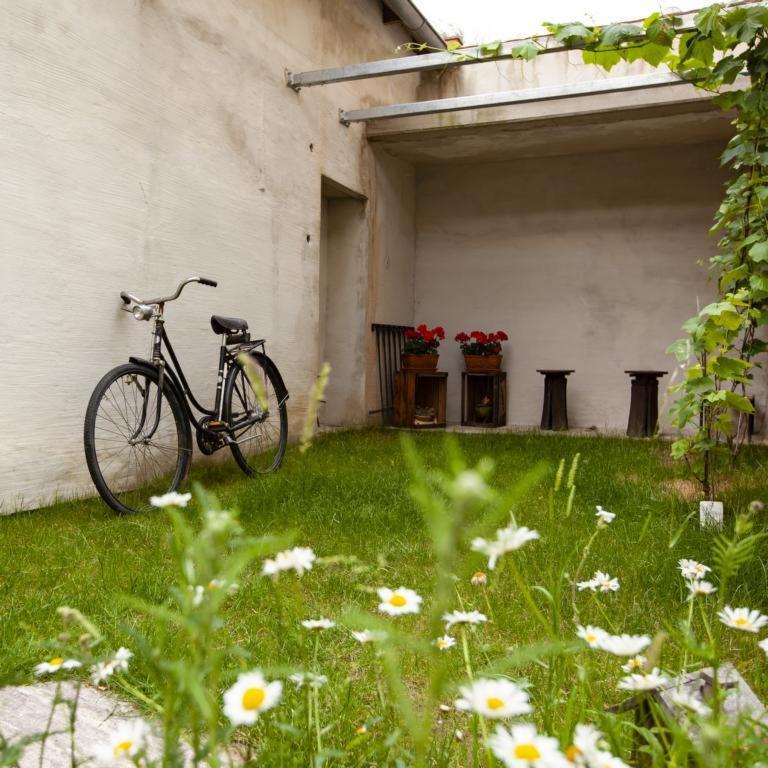 City Appartement Bad Radkersburg Exteriör bild